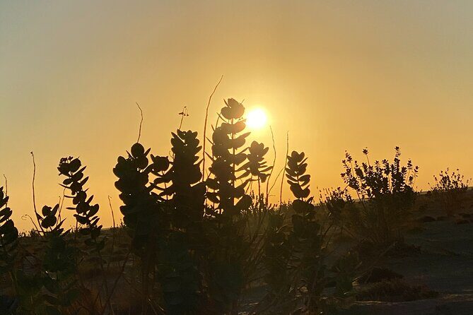 2-Day Overnight Desert Experience - FAQs