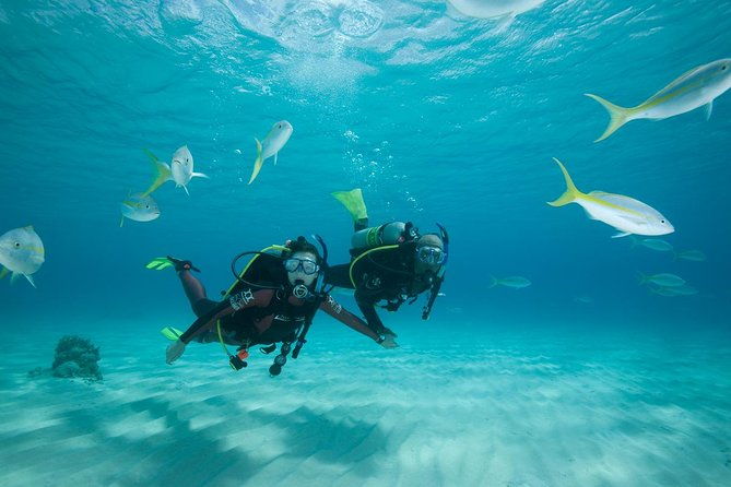 2-day-padi-scuba-diver-course-in-puerto-rico-gran-canaria-2