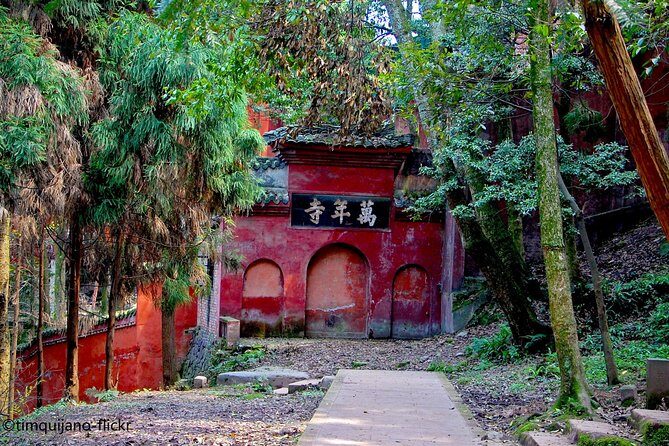 2-Day Panda Base plus Leshan Giant Buddha and Emei Mountain Tour - Key Points