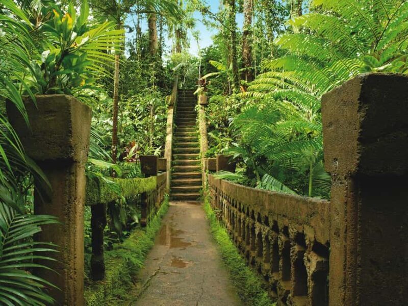 2-Day Paronella Park & Tablelands Tour+Cape Tribulation Tour - FAQ  
