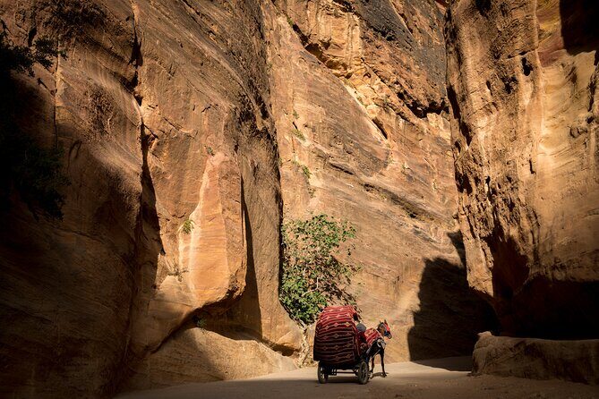 2-Day Petra Tour from Jerusalem - Key Points  