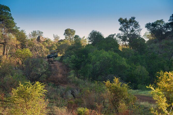 2 Day Pilanesberg Camping Safari - The Value Proposition