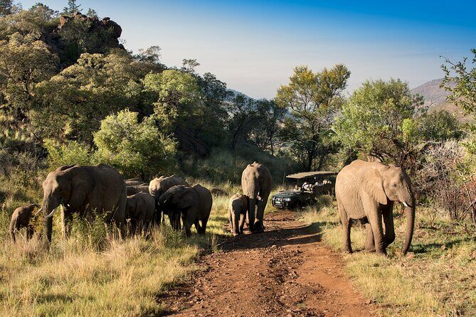 2 Day Pilanesberg Camping Safari - FAQ