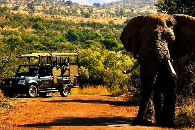 2 Day Pilanesberg national park Guided Tour - Key Points