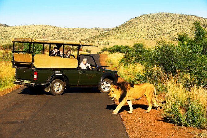 2 Day Pilanesberg national park Guided Tour - Discovering Pilanesberg: A Compact Safari Experience
