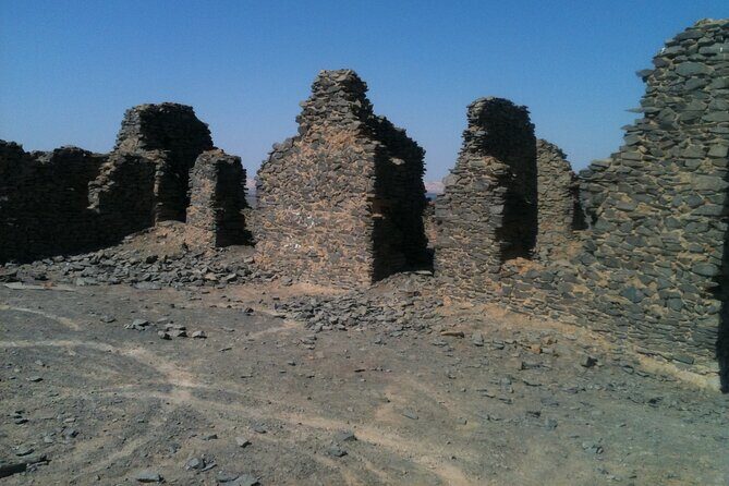 2-Day Private Bahariya Oasis Tour from Cairo and Giza Hotels - In The Sum Up