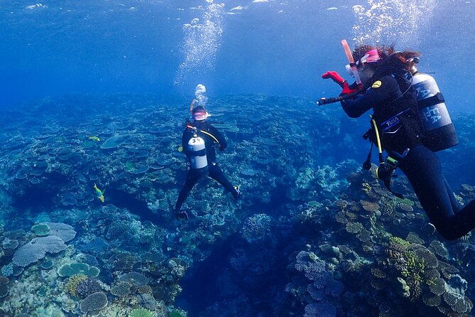 2-day-private-deluxe-certification-course-for-scuba-diving