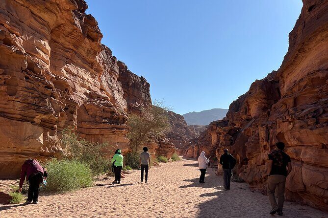 2 Day Private Desert Experience in Sinai - What’s Included and How It Adds Value