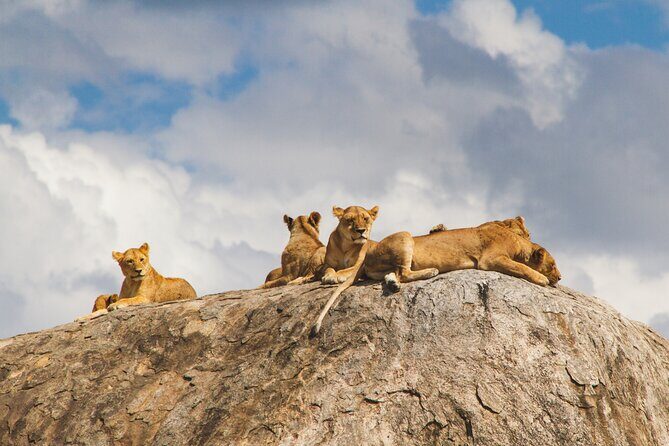 2-Day Private Guided Tour to Tarangire and Ngorongoro - Transportation, Timing, and Comfort