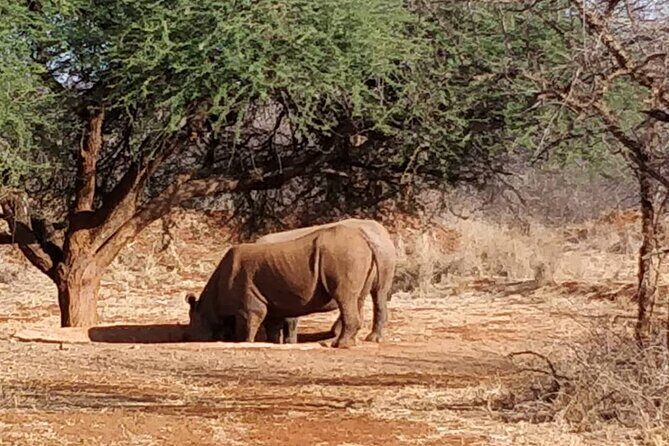 2-Day Private Guided Tour to Tarangire and Ngorongoro - Final Thoughts