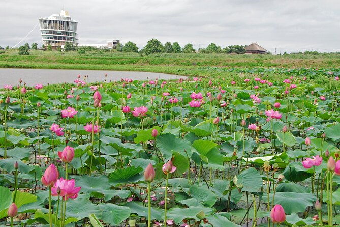 2-day-private-luxury-tour-through-rural-japan-fukushimagata