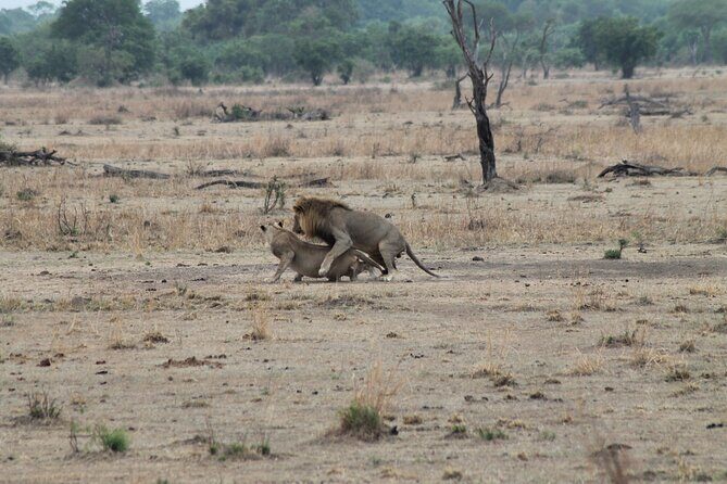 2-Day Private Mikumi National Park Tour with Pickup - Key Points