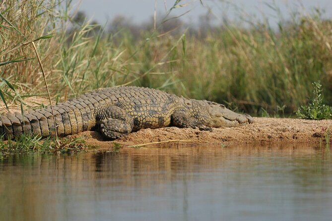 2-Day Private Mikumi National Park Tour with Pickup - FAQs