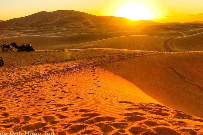2 Day Private Overview of the Zagora Desert Tour - The Itinerary Breakdown: What to Expect