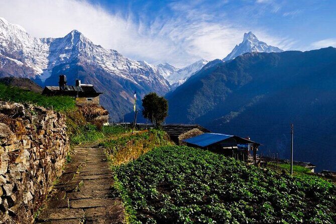 2 Day Private Panchase Trek Tour from Pokhara - Accommodation and Meals