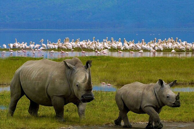 2-Day Private Safari to Lake Nakuru and Hell's Gate Parks - Why This Tour Offers Great Value  