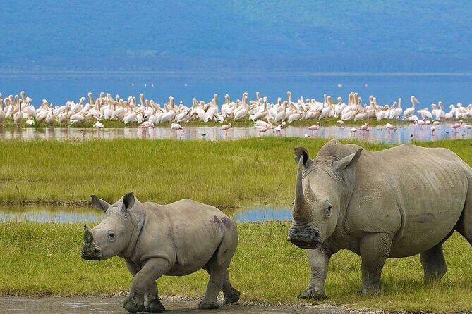 2-Day Private Safari to Lake Nakuru and Hell's Gate Parks - The Sum Up  