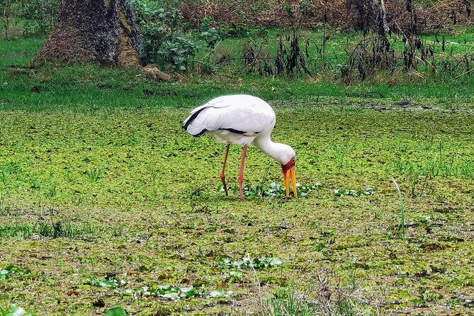 2-Day Private Safari to Lake Nakuru and Hell's Gate Parks - FAQ  