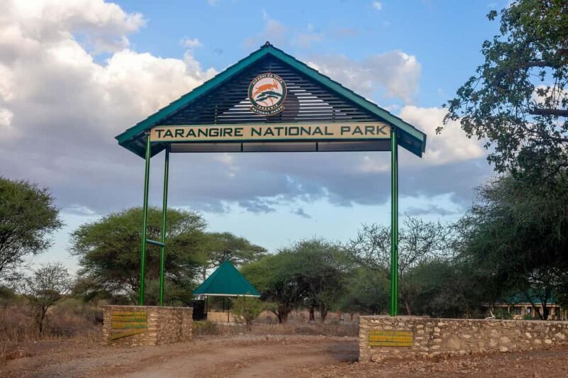 2 Day Private Tarangire and Ngorongoro Crater Safari - Key Points