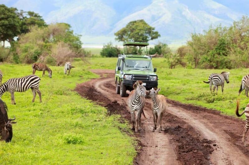 2 Day Private Tarangire and Ngorongoro Crater Safari - Why This Safari Stands Out