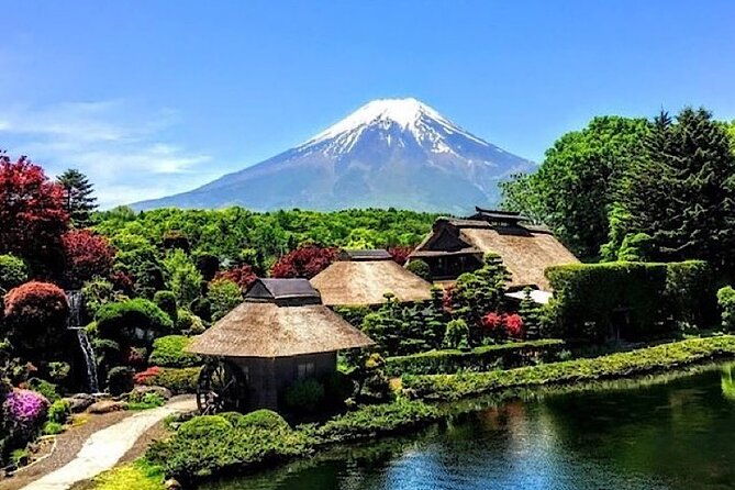 2-day-private-tokyo-mt-fuji-hakone-sightseeing-tour-with-guide