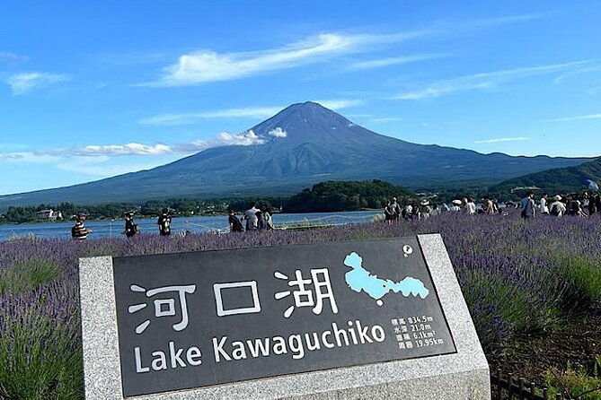 2-day-private-tokyo-mt-fuji-hakone-sightseeing-tour-with-guide
