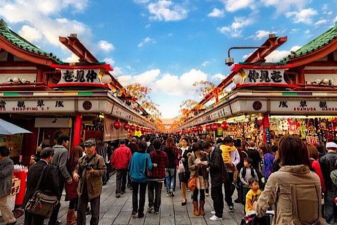 2-day-private-tokyo-mt-fuji-hakone-sightseeing-tour-with-guide