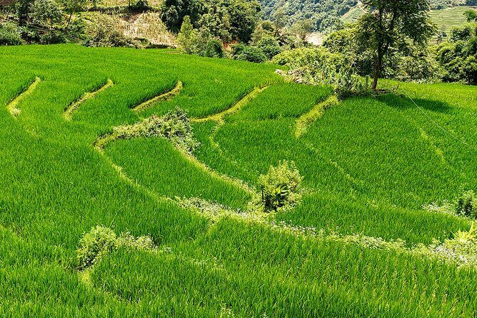 2 Day Private Tour from Sapa Waterfalls Villages and Hidden Gems - Who Should Consider This Tour?
