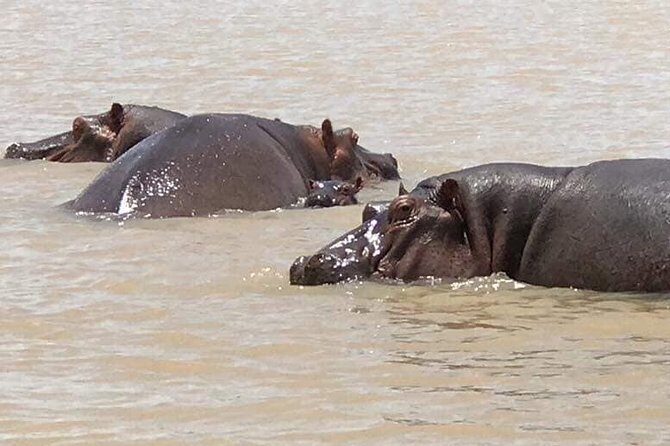 2-Day private Tour in Bahir Dar and Blue Nile falls - 2-Day Private Tour in Bahir Dar and Blue Nile Falls: An In-Depth Review