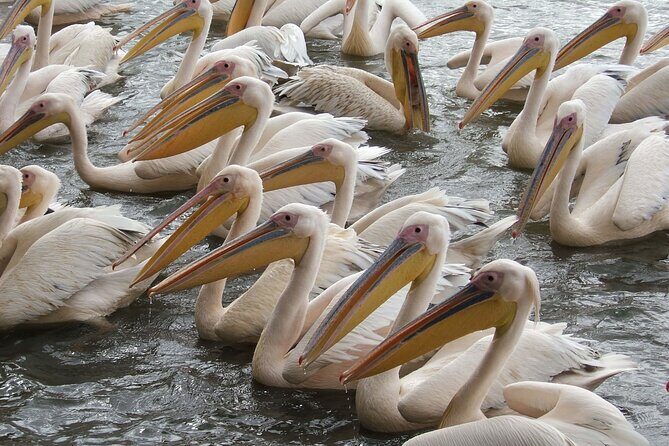 2-Day private Tour in Bahir Dar and Blue Nile falls - Why This Tour Offers Great Value
