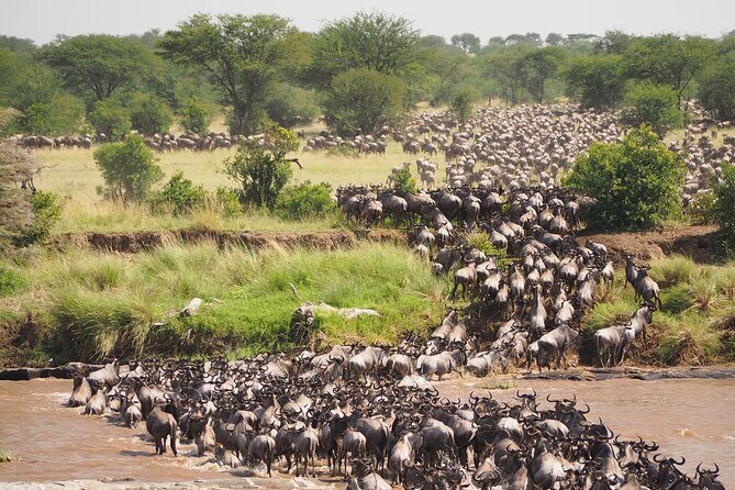 2-Day Private Tour in Masai Mara with Pick Up - Accommodations, Meals, and Extras
