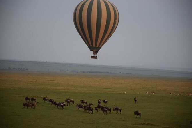 2-Day Private Tour in Masai Mara with Pick Up - Final Thoughts: Is It Worth It?