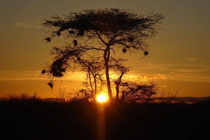 2-Day Private Tour in Tsavo East - What We Love About This Tour