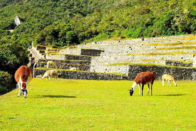 2-day-private-tour-of-the-inca-trail-to-machu-picchu