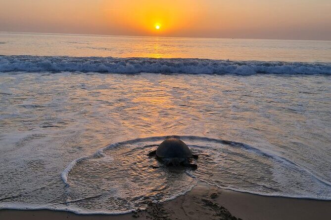 2-day Private Tour to Ras Al Hadd - Authentic Experiences & Unique Insights from Reviewers