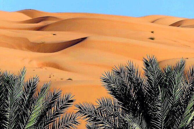 2-Day Private Wahiba Sands Desert Camping Tour from Muscat - Who Will Love This Tour?