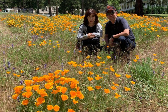 2-day-private-yosemite-tour-waterfalls-sequoias-and-glacier-pt