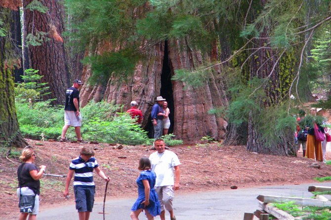 2-day-private-yosemite-tour-waterfalls-sequoias-and-glacier-pt