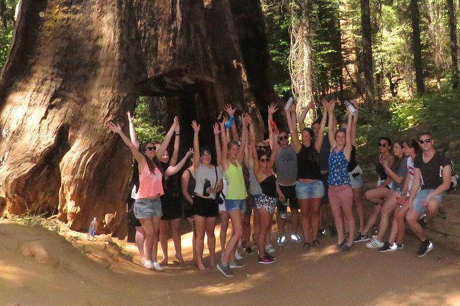 2-day-private-yosemite-tour-waterfalls-sequoias-and-glacier-pt