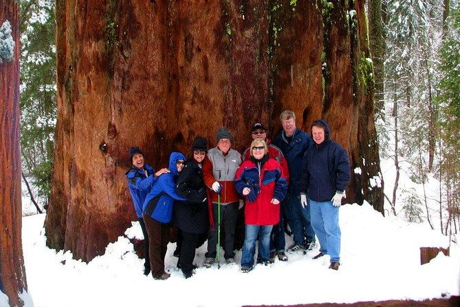 2-day-private-yosemite-tour-waterfalls-sequoias-and-glacier-pt