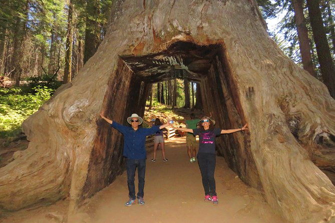 2-day-private-yosemite-tour-waterfalls-sequoias-and-glacier-pt