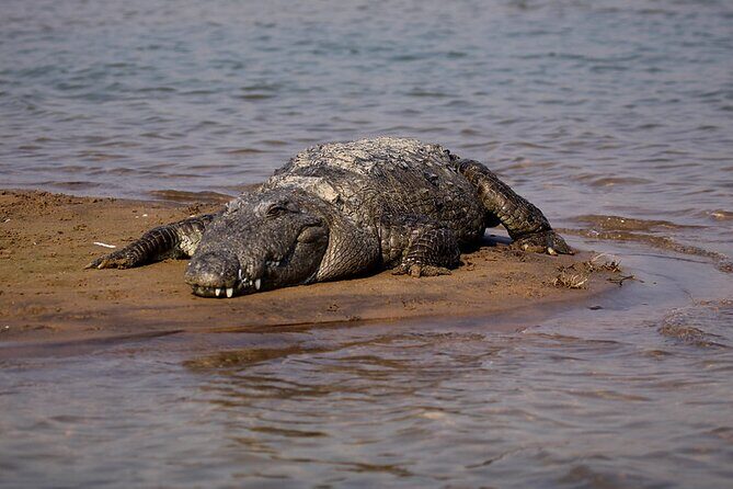 2-Day Ranthambore Tiger & Chambal River Safari from Jaipur - FAQ