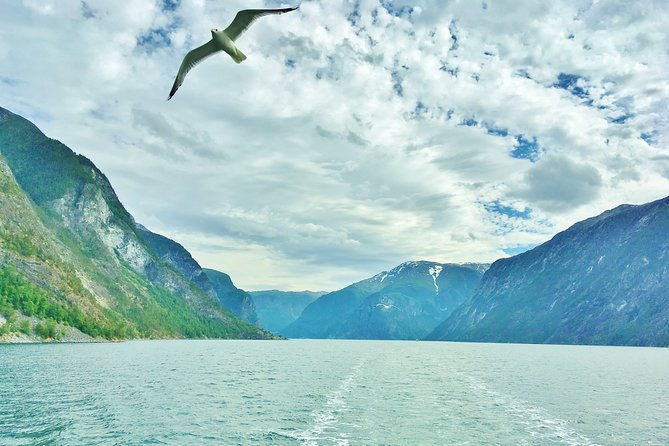 2-day-round-trip-from-bergen-the-grand-sognefjord-fjords-waterfalls-glacier