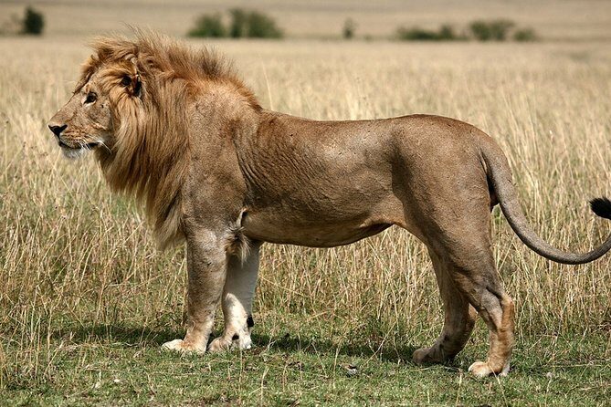 2 Day Safari Isimangaliso Wetland Park & Hluhluwe Imfolozi from Durban - Authentic Experiences and Insights from Past Travelers  