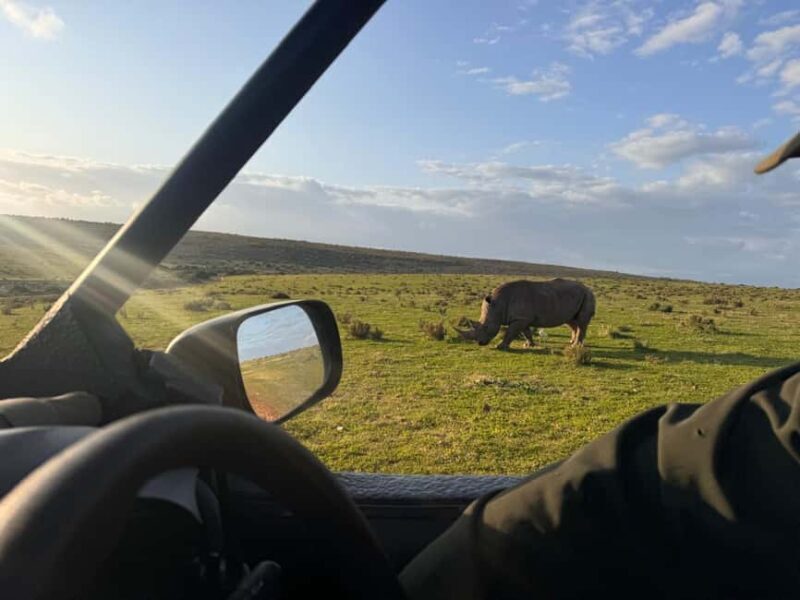 2-Day Safari with Big 5 Game Drives, at amazing 4-Star Lodge - Key Points