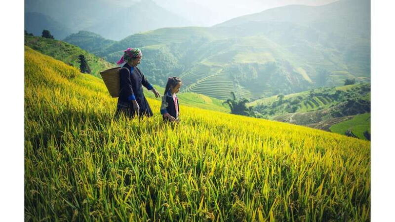 2-Day Sapa Tour from Hanoi with Homestay and Meals Included - Final Thoughts: Is It Worth It?