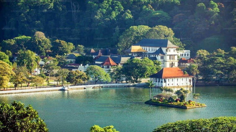 2-day-scenic-tour-from-kandy-to-ramboda-nuwara-eliya