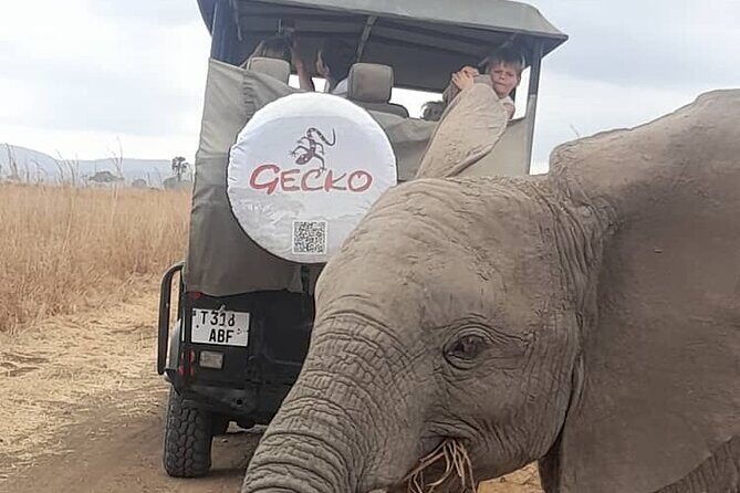 2-Day Selous Game Reserve Tour from Zanzibar - The Overview: Why the Selous Game Reserve?