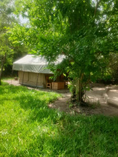 2 Day Selous wildlife view + Boat + Bushman walking safaris - Exploring the 2 Day Selous Wildlife View, Boat, and Bushman Walking Safaris