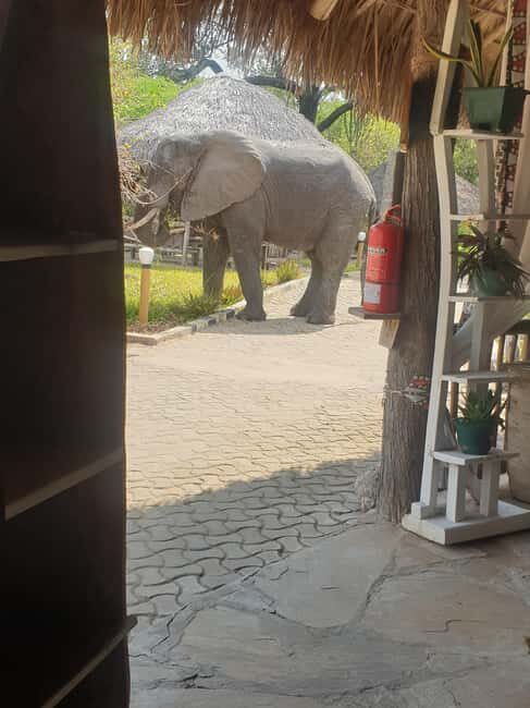 2 Day Selous wildlife view + Boat + Bushman walking safaris - Key Points